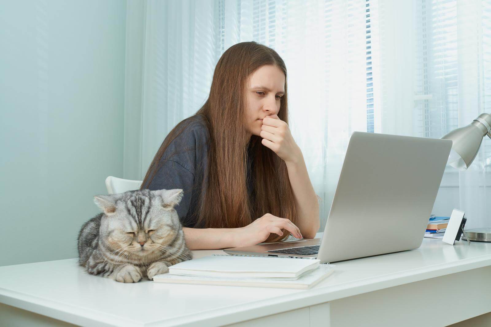 A woman multitasking at a desk, learning to be a copywriter while her cat keeps her company.