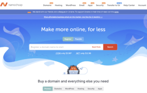 The homepage of a website offering tips on choosing the perfect domain for your blog.